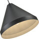 R Series 1 Light 17 inch Satin Black Indoor Pendant Ceiling Light